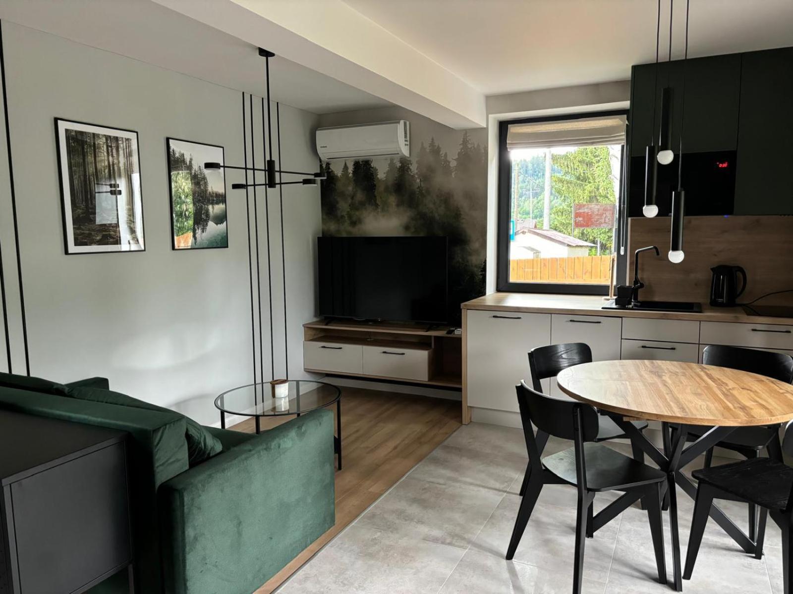 Dach Pod Sowa Gs Apartment *